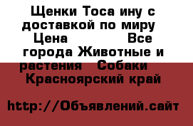 Щенки Тоса-ину с доставкой по миру › Цена ­ 68 000 - Все города Животные и растения » Собаки   . Красноярский край